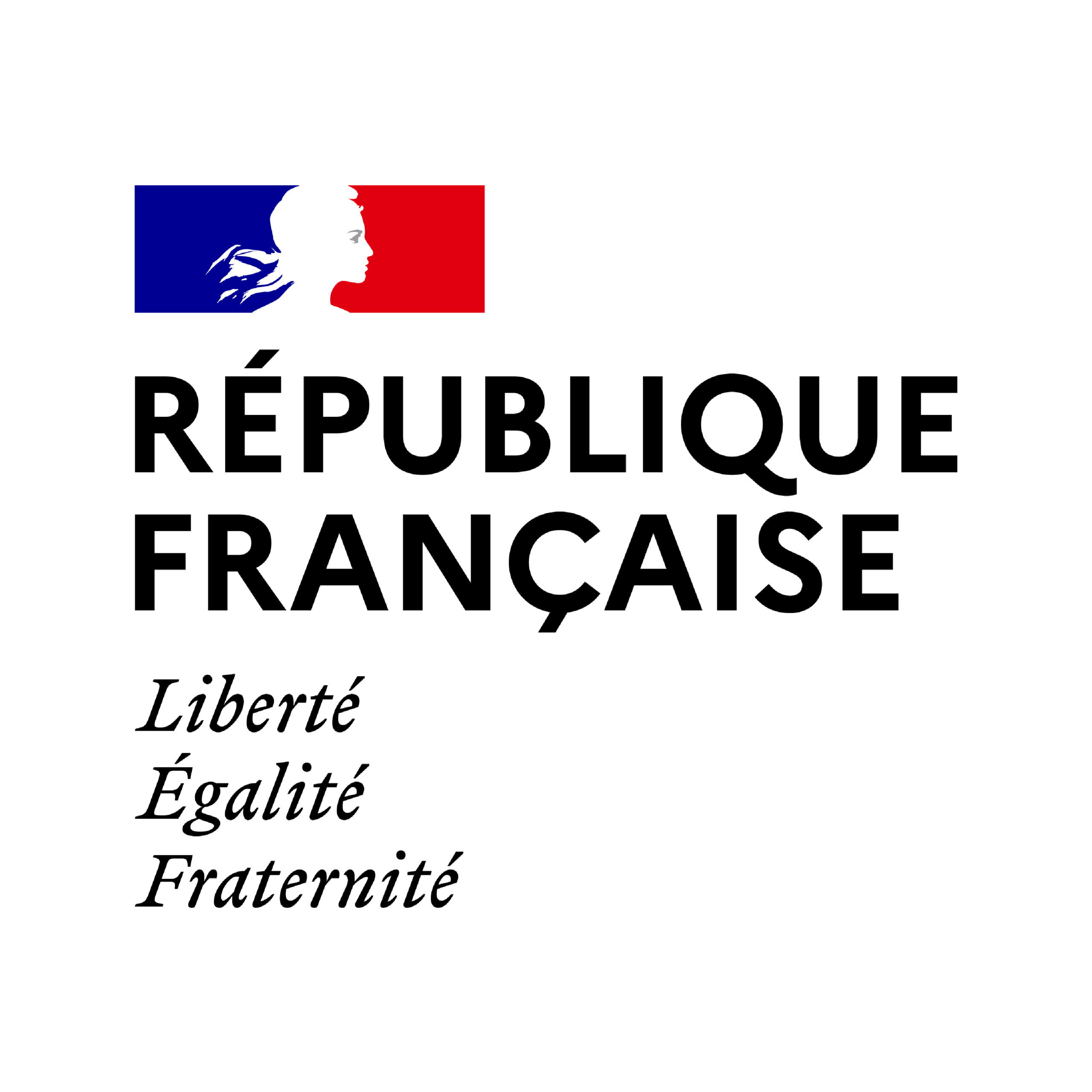 Logo République Francaise